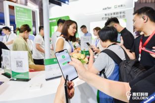 高燈科技亮相騰訊全球數(shù)字生態(tài)大會，專注打造智慧財稅極致體驗