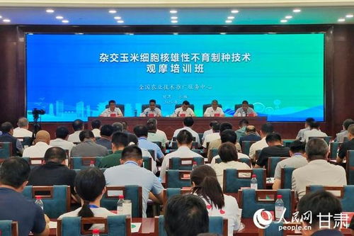 雜交玉米細(xì)胞核雄性不育制種技術(shù)觀摩培訓(xùn)會在甘肅張掖成功舉辦，助力技術(shù)推廣與服務(wù)提升